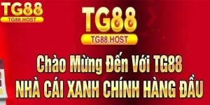 TG88 có hợp pháp không