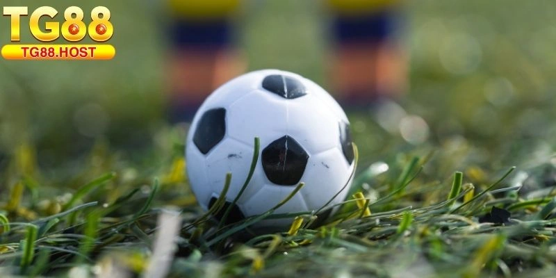 Thể thao TG88