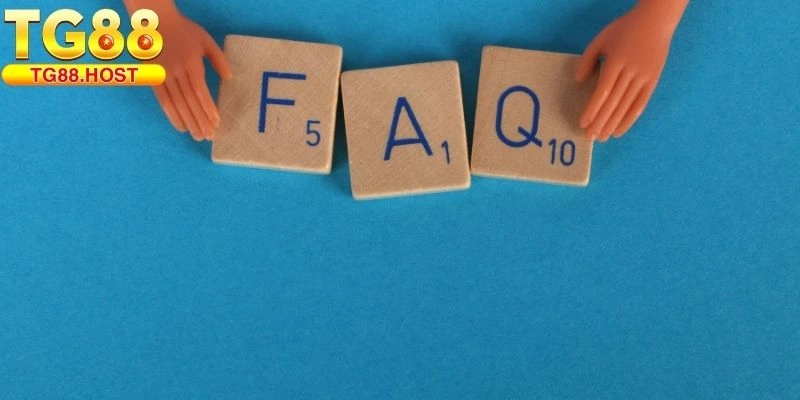 câu hỏi thường gặp