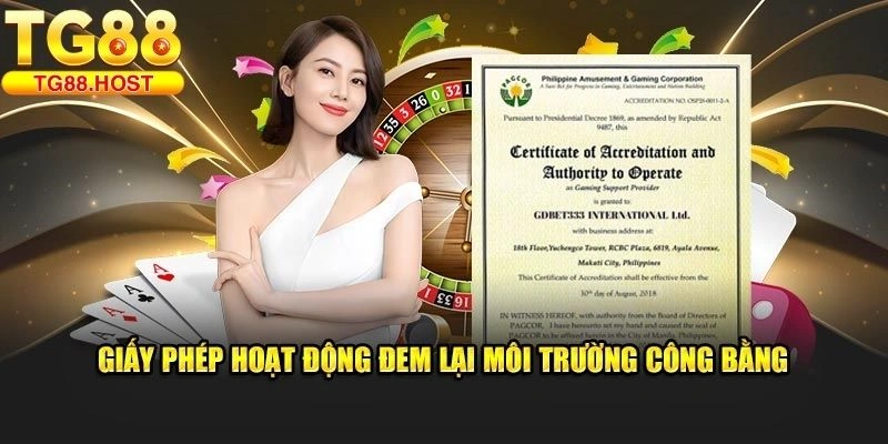 giấy phép hoạt động